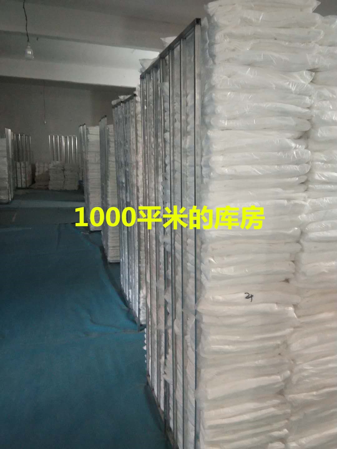 纯棉t恤衫2023潮牌运动新款男式宽松大码圆领印花网红款打底上衣详情5