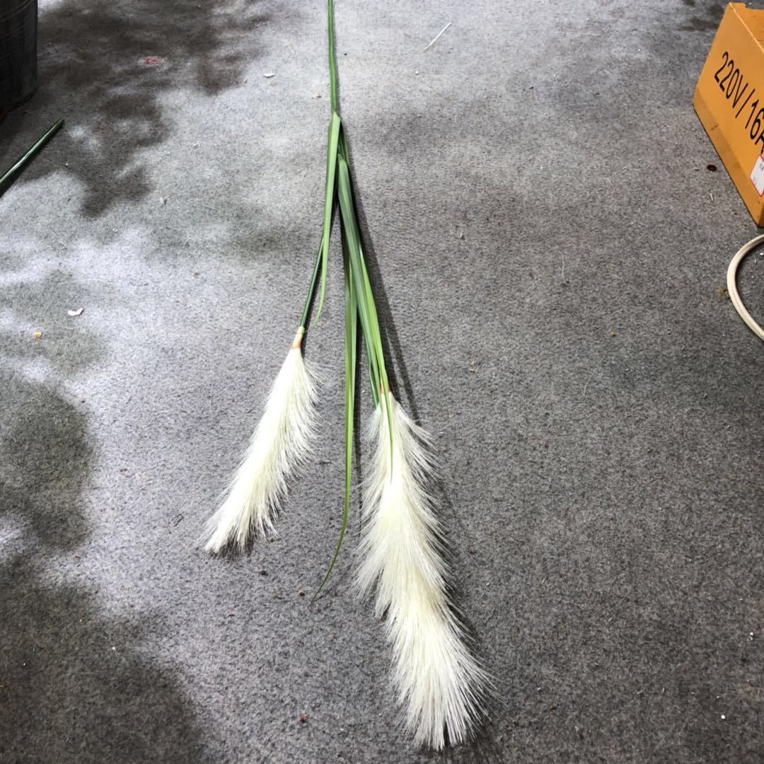 Bionic reed, pink muhly grass, sunny grass, indoor decorative green plants, potted plants, simulation plants, wedding props, decorative dogtail grass pic 10