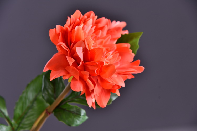 Factory direct sales of high-end artificial dahlia with realistic touch, wholesale of high-end artificial dahlia for home decoration, shopping malls and hotels pic 23