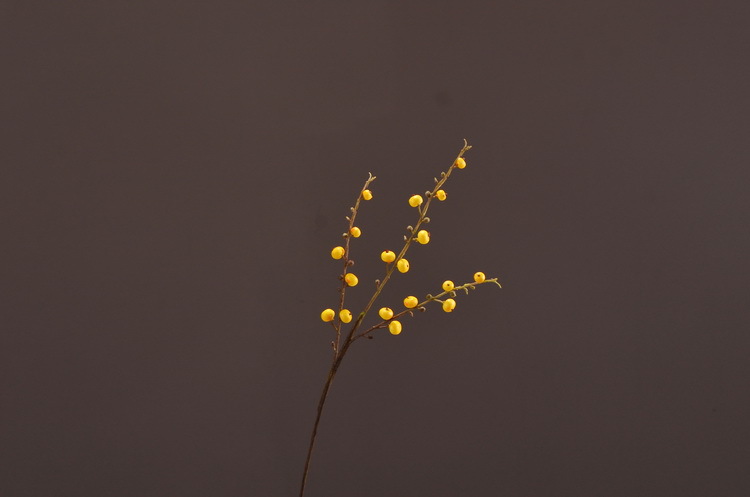 Artificial rosehip, artificial plant fruit, berry, American decorative floral arrangement materials, photography props pic 33