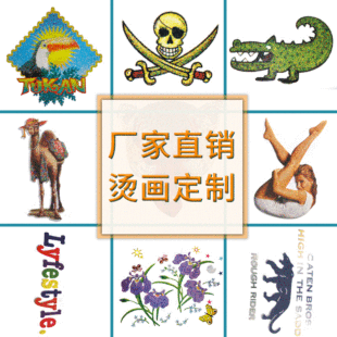 新款服装烫钻图案 热转印烫图 烫画钻DIY详情4