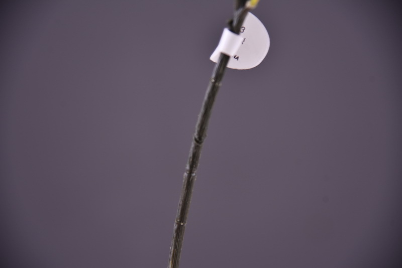 Dongli Flower Industry Factory offers wholesale of artificial apple branches, high-end artificial fruit and berry tables, wedding model room decorations, and photography props in stock pic 22