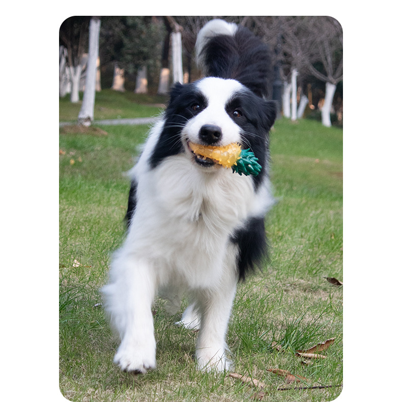 Pet frozen fruit series: Non-toxic and environmentally friendly dog teeth grinding and cleaning water, chilled lemon, cool and sound-making toys pic 13