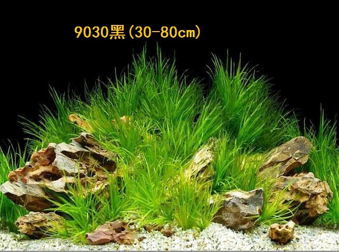 30cm tall, single-sided thin aquarium fish tank background painting, aquarium equipment and supplies glass sticker background painting pic 46