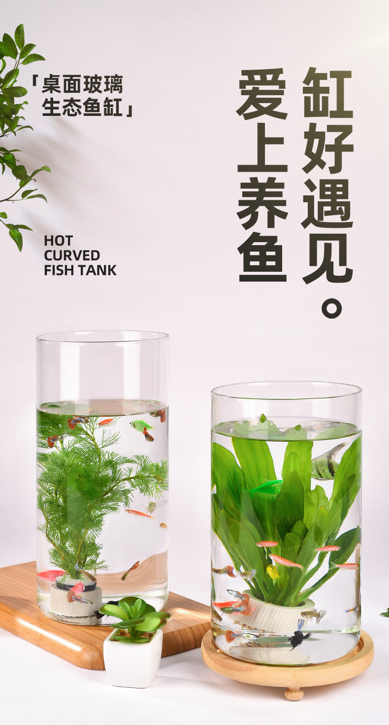 Wholesale transparent micro-landscape glass vase ornaments, hydroponic ecological bottles, diy moss tanks, succulent flower POTS, glass jars pic 22