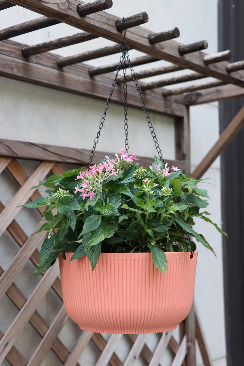 悬挂家居阳台吊篮花盆花篮藤编装饰北欧现代风格绿萝园艺义乌出口悬挂家居阳台吊篮花盆花篮藤编装饰北欧现代茏达森园艺详情13