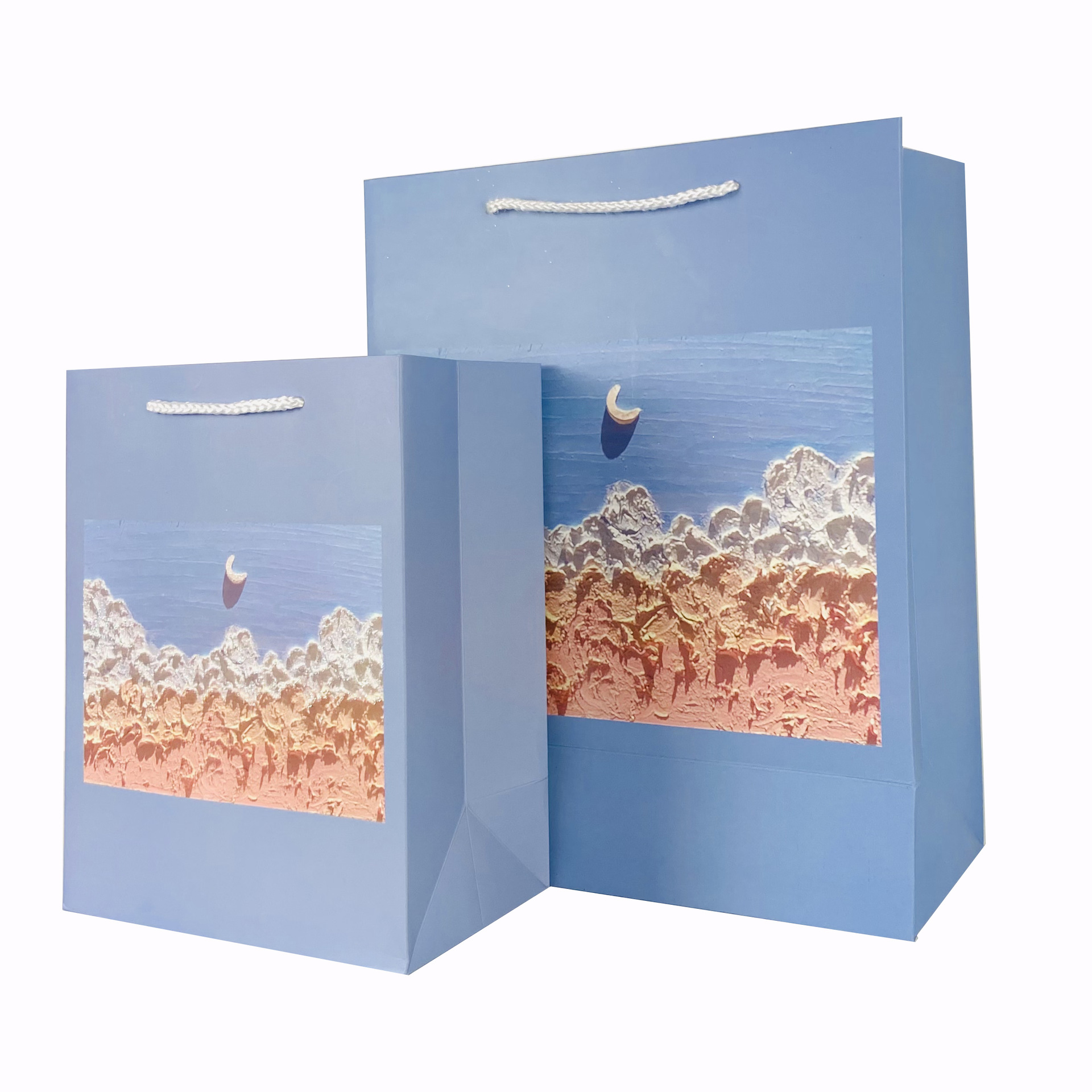 On Instagram, the world is full of romantic gift bags, with beautiful flowers, fresh scenery, and beaches. They are perfect for giving as gifts, birthday packaging, and handbags pic 10