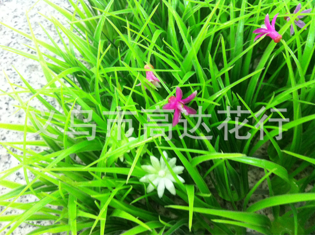 Yiwu factory direct sales, wholesale of artificial tall seedling lawns, artificial turf plastic 60*40cm, densified and thickened pic 12