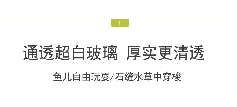 Ecological bottle micro-landscape, small office desktop, fish tank landscaping, fighting fish, glass tank, aquarium living room creativity pic 8