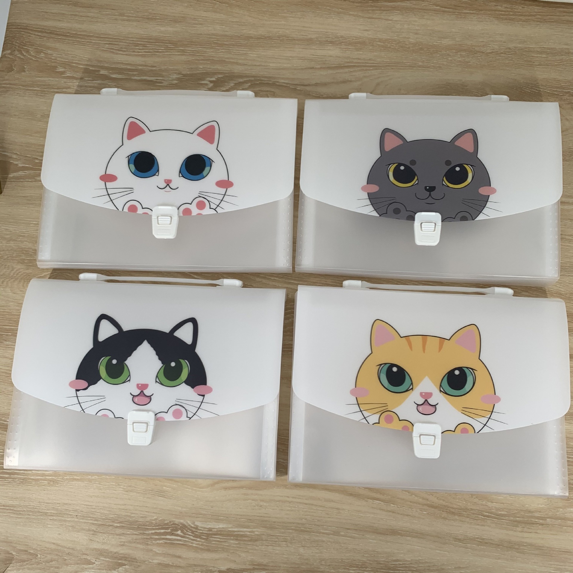 The manufacturer supplies 5-compartment organ bags, A4 student test paper and material storage clips, plastic snap file hand-held storage bags pic 8