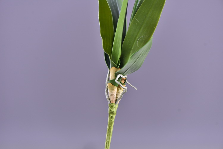 Factory direct sales of high-end artificial dendrobium, wholesale of artificial flowers with leaves, home decoration of Phalaenopsis and Lanjin artificial plants pic 46