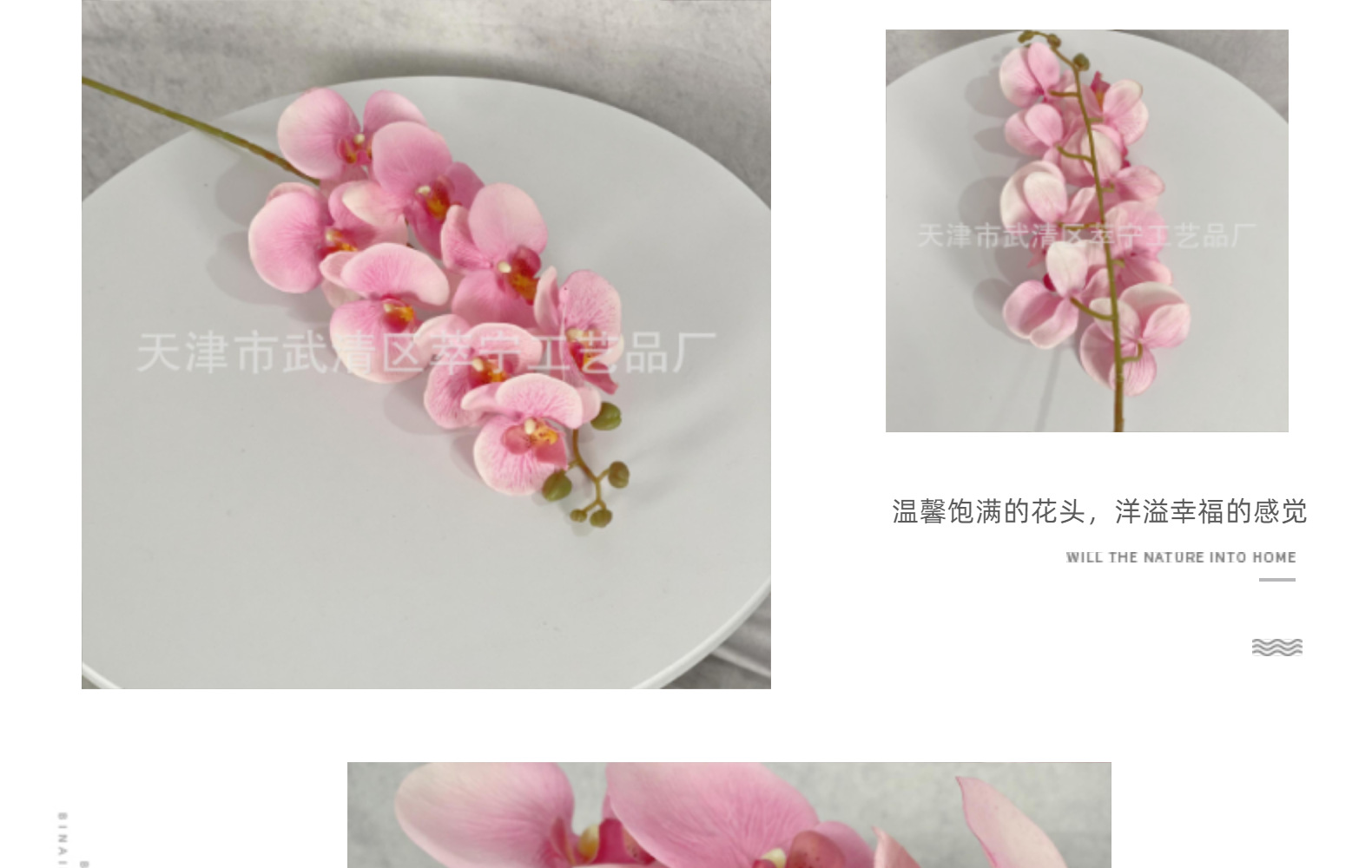 8头显纹桃皮绒蝴蝶兰仿真花婚庆插花家居装饰客厅摆件跨境厂家详情14