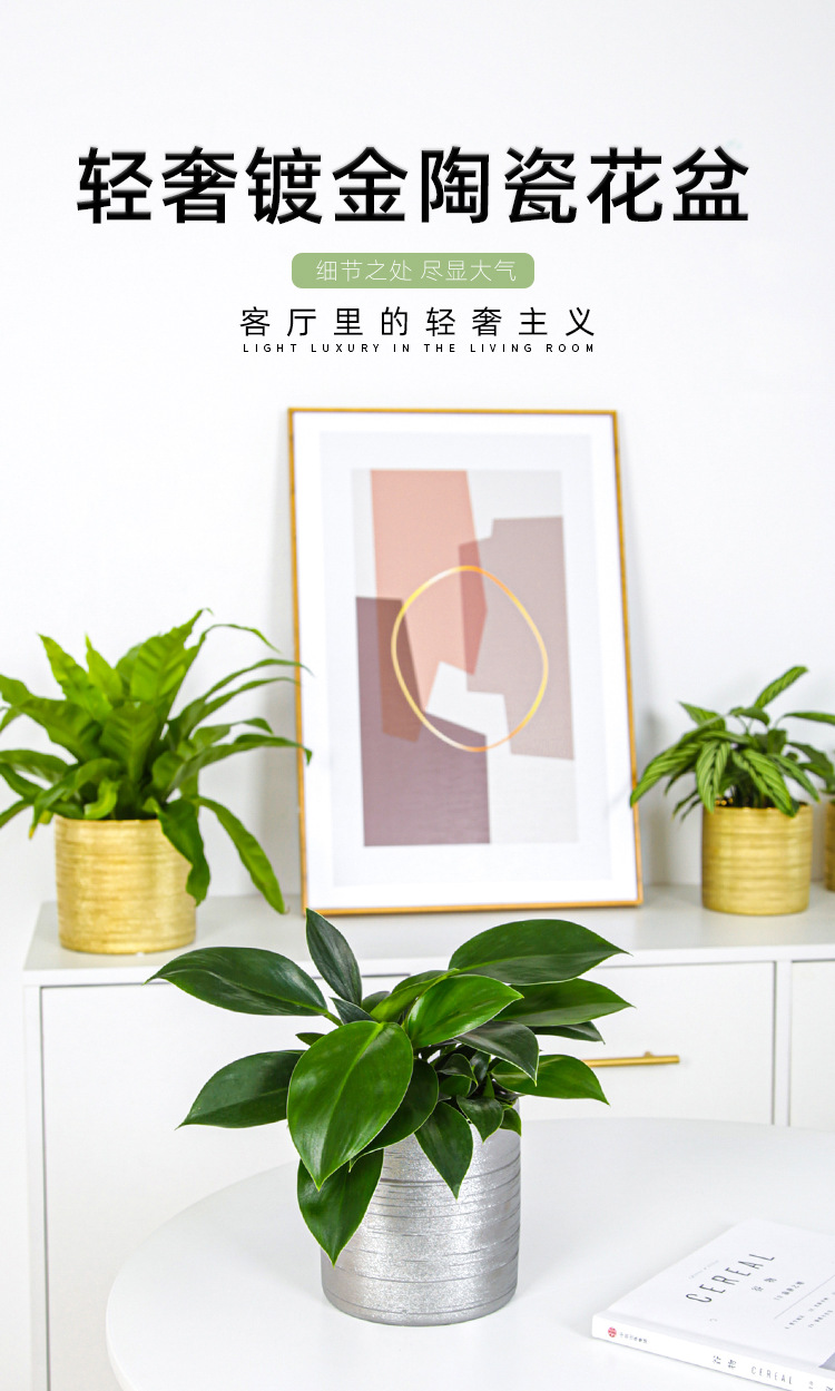 Chinagoods Du Qi Hotel supplies: European-style simple and creative ceramic brushed, gold-plated and silver succulent combination export flower POTS, handicrafts and flower vases pic 1