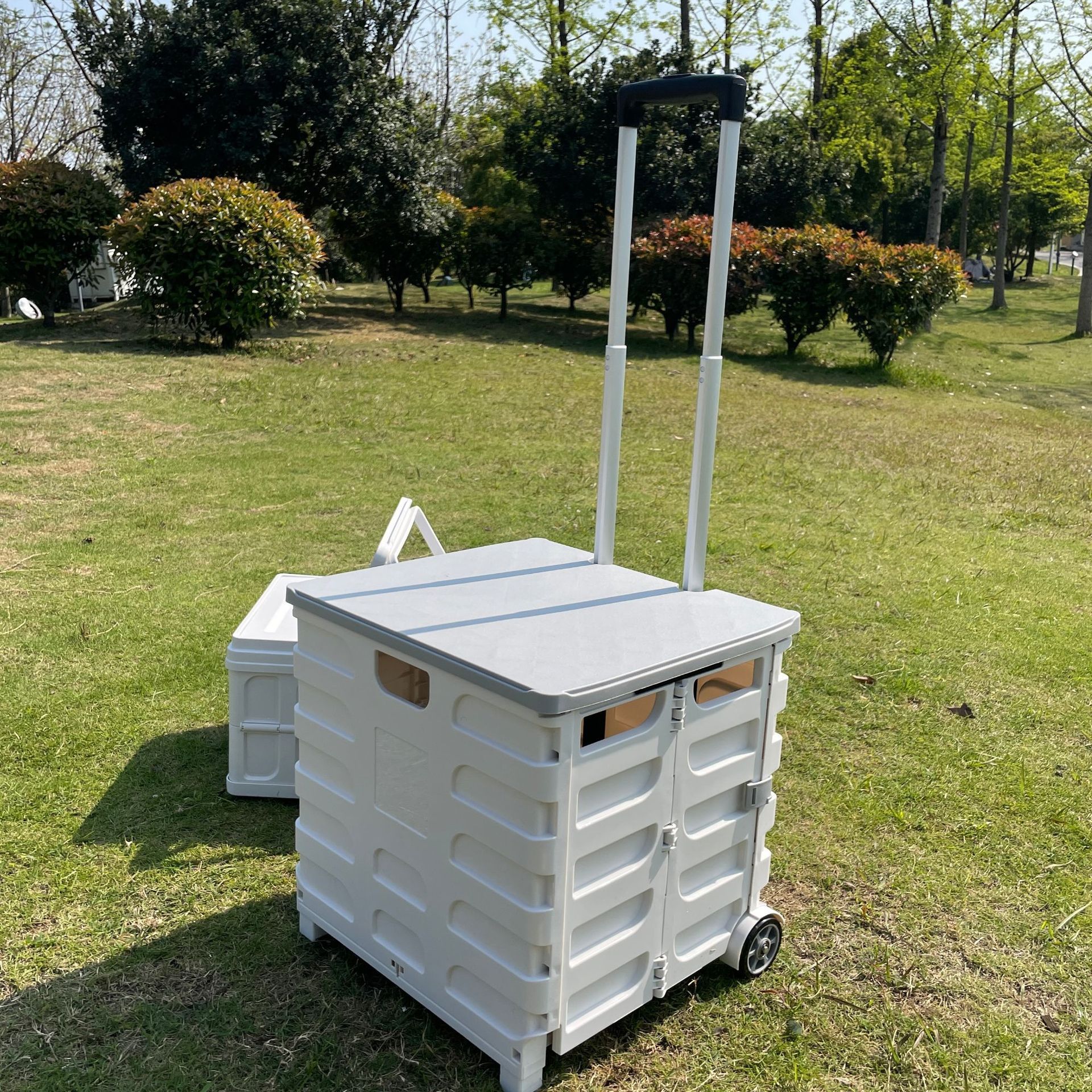 O1CN016rhWbv1XdJYd37TNp_!!2213