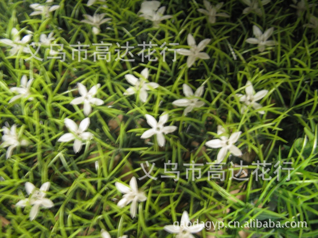Plastic lawn, little star, little purple flower, water plant, plastic water plant, artificial money lawn, eucalyptus lawn pic 4