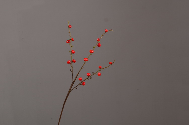 Artificial rosehip, artificial plant fruit, berry, American decorative floral arrangement materials, photography props pic 12