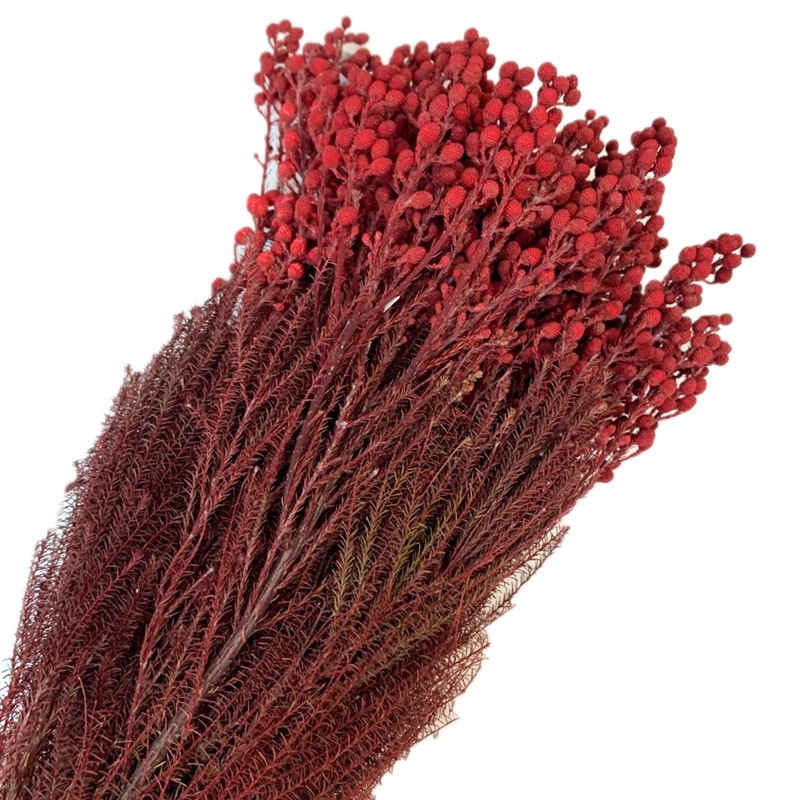 Yunnan Yongsheng Preserved fresh Flower Pepper Bean Flower Art Photo Frame, Floating bottle, special for flower shops pic 2