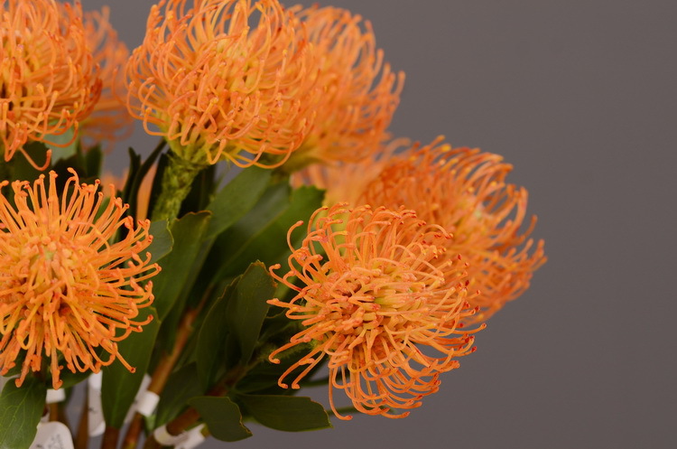 Factory direct sales, wholesale of in-stock inventory of artificial large needle cushion flowers, artificial flower sets, wholesale of living room, dining table, entrance hall, desktop decoration, flower arrangement and ornaments pic 7