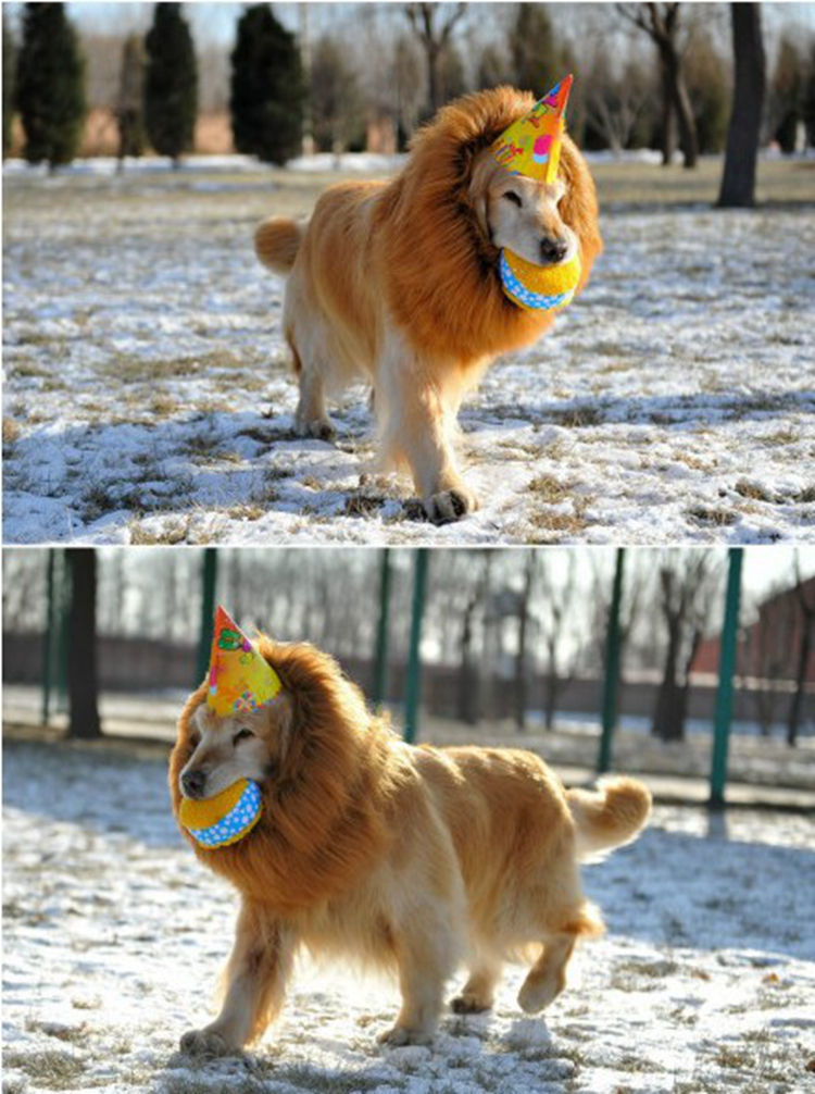 Pet headgear, winter warm and comfortable dog headwear, Halloween pet lion head wig, pet wig supplies pic 8