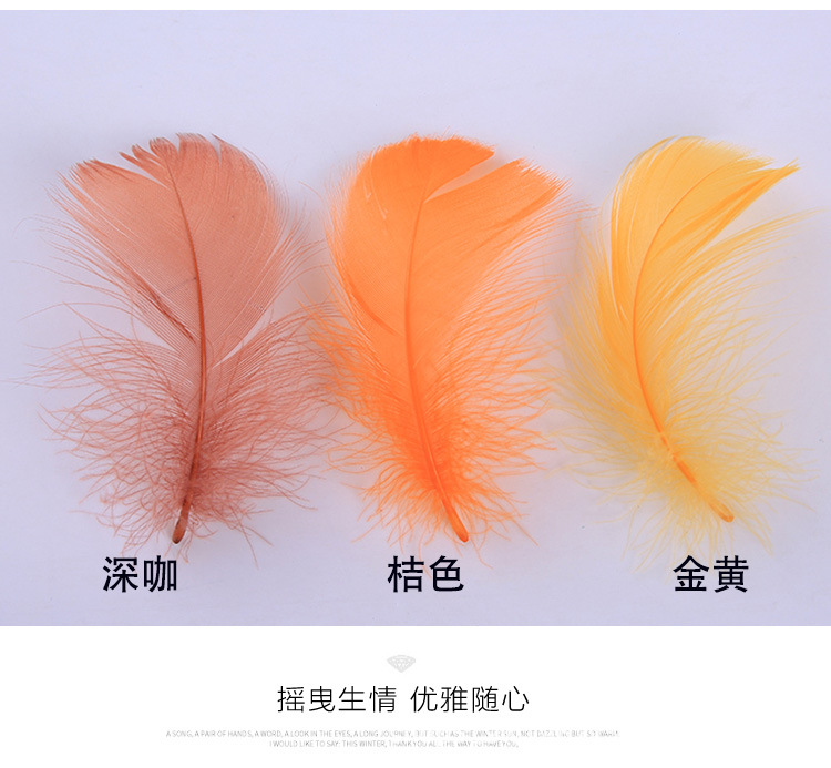 厂家直销优质天鹅毛 DIY彩色小飘羽毛 舞台服饰装饰辅料羽毛批发详情10