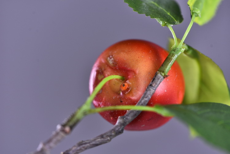 Wholesale of artificial apple branches, multi-leaf home decoration fruit branches, new Chinese-style New Year decoration berries from the manufacturer pic 29