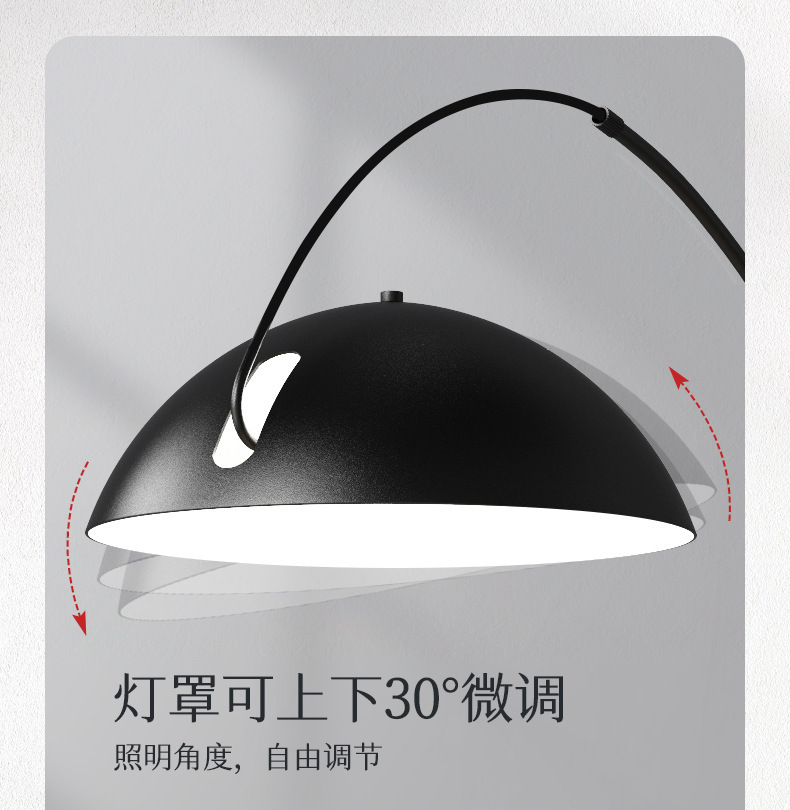 钓鱼灯落地灯现代简约客厅沙发灯北欧创意极简轻奢设计感立式台灯详情3