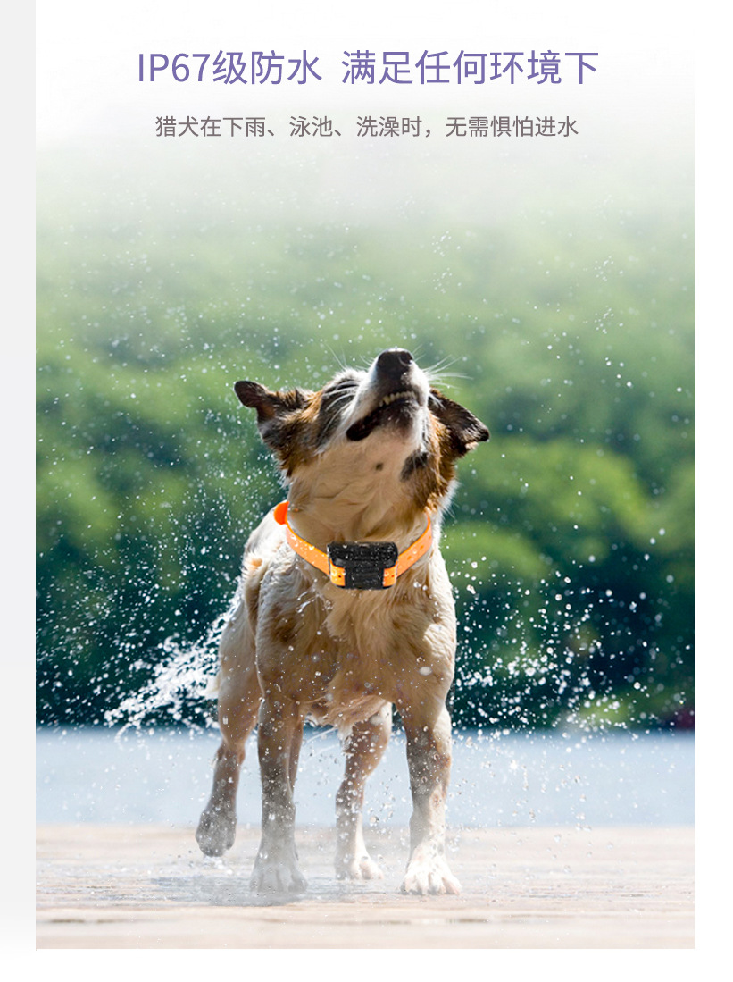 4G GPS定位器猎狗宠物防丢器GPS跟踪器猎狗圈智能定位器详情4