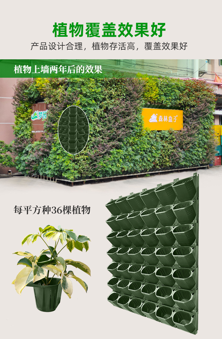 5017实拍_02.jpg