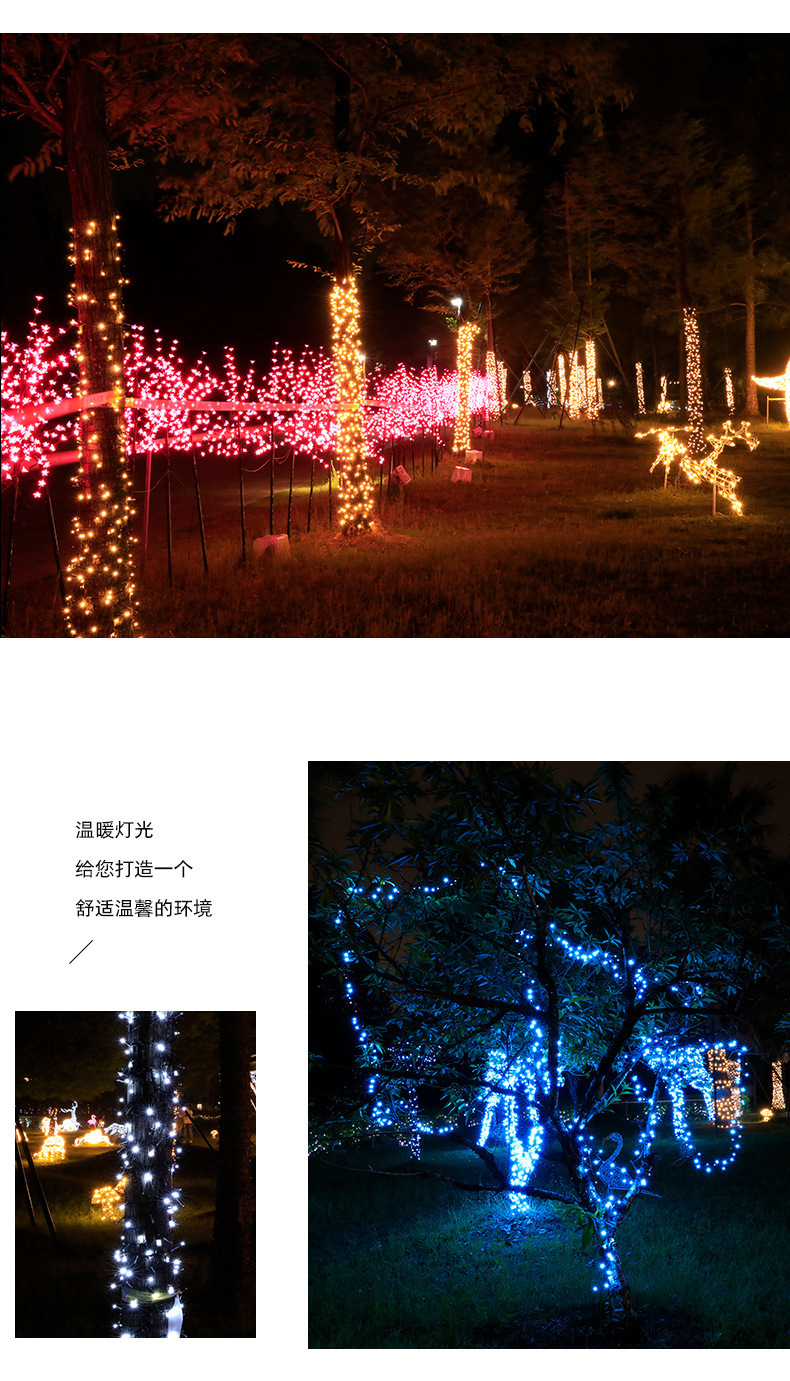 LED灯串户外庭院满天星防水彩灯圣诞婚庆串灯节日露营氛围灯详情3