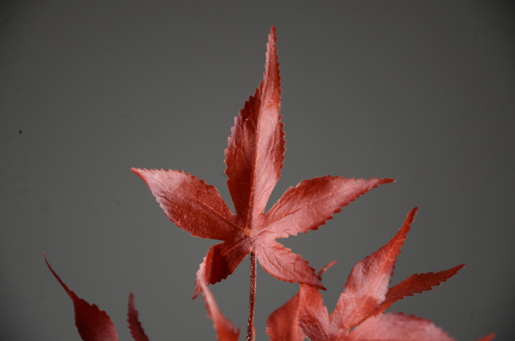 Factory wholesale of artificial flowers, direct sales from the manufacturer, wholesale of artificial green plants, home decoration flowers, red artificial leaves, artificial maple leaves pic 5