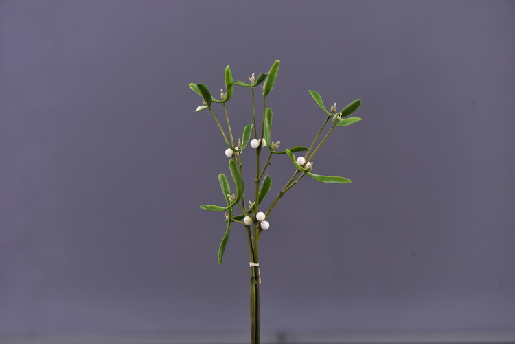Factory direct sales of artificial mistletoe, wholesale of artificial plants, flower arrangement materials, window display, soft furnishings, pearl fruit and green plants pic 8