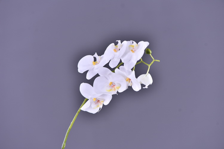 Factory supply of simulated Phalaenopsis, modern, simple and light luxury decoration, artificial flower touch, Phalaenopsis hand-painted soft decoration ornaments pic 4