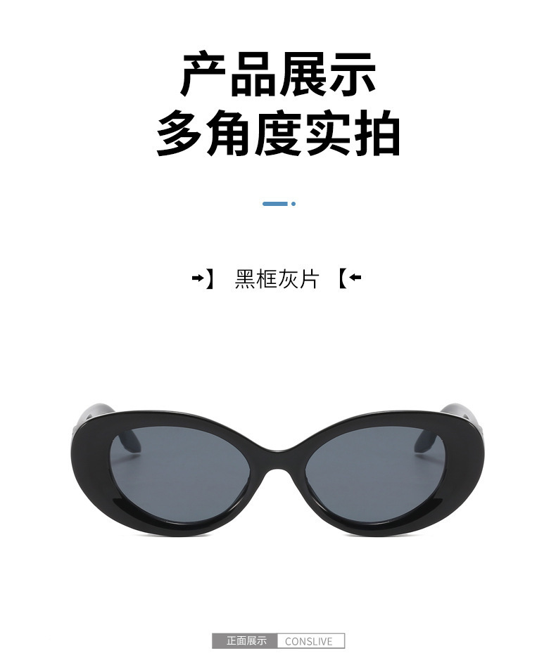 欧美跨境 新款2302椭圆小框太阳镜 时尚潮流PC框太阳眼镜网红墨镜详情7