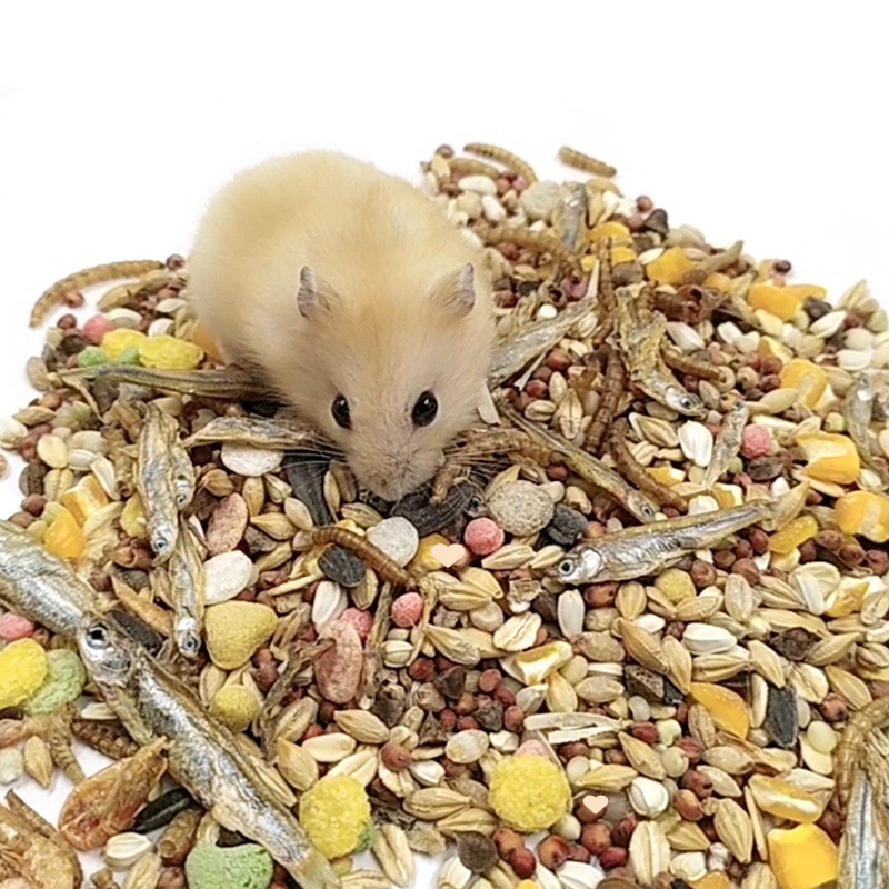 仓鼠粮批发粮食营养主粮罐装五谷海鲜混合金丝熊食物面包虫用品详情8
