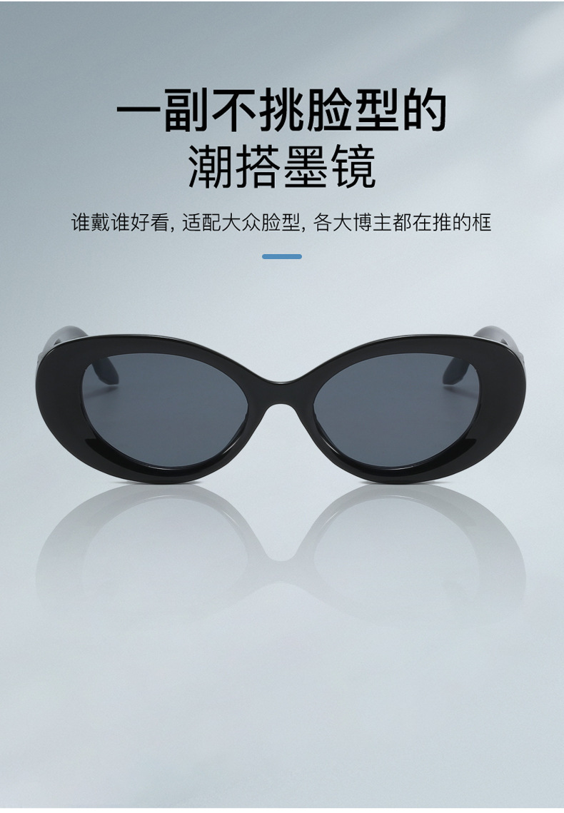 欧美跨境 新款2302椭圆小框太阳镜 时尚潮流PC框太阳眼镜网红墨镜详情3