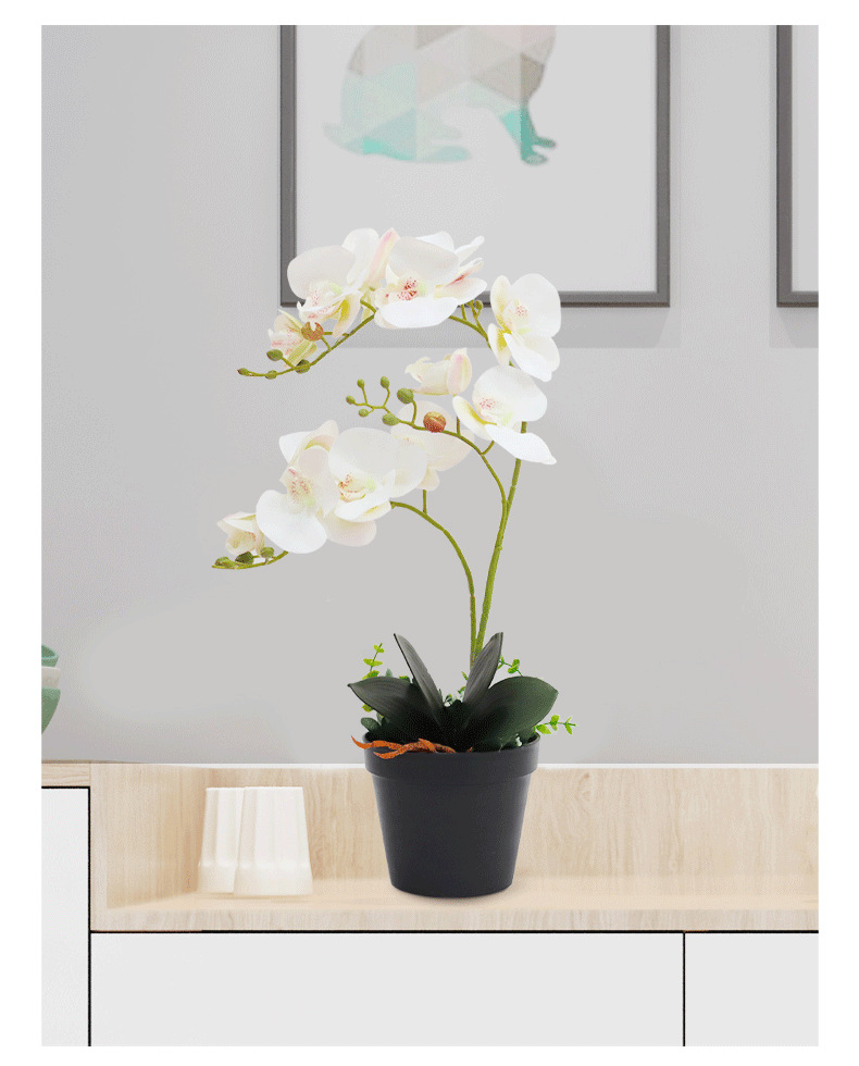Artificial flower ornaments, artificial Phalaenopsis small potted plants, artificial flowers, living room table decorations, decorative flowers and green plants wholesale pic 9