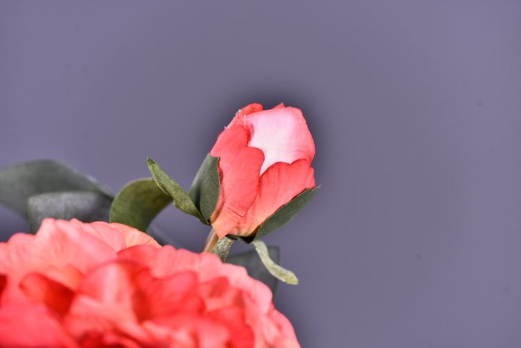 Factory direct sales of faux peonies with charred edges, wholesale of retro faux paeonies, living room and dining table flowers, wedding decoration artificial flowers pic 7