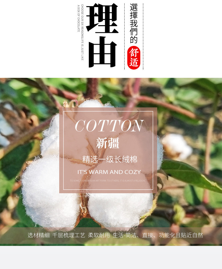 新疆棉花被A类长绒棉被芯加厚保暖冬被子棉胎学生宿舍床垫被批发详情3