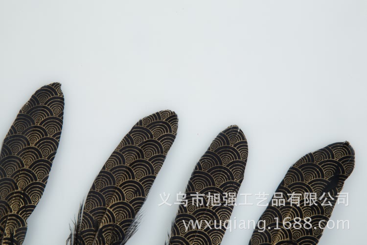 厂家直销 diy硬大飘羽毛 天使翅膀羽毛 耳环项链配饰装饰羽毛详情18