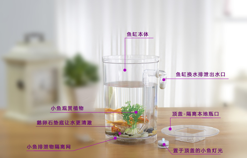 Lazy fish tank landscape ecological bottle, small mini fish tank, Office desktop fish tank, golden fish tank, creative ornamental tank pic 43