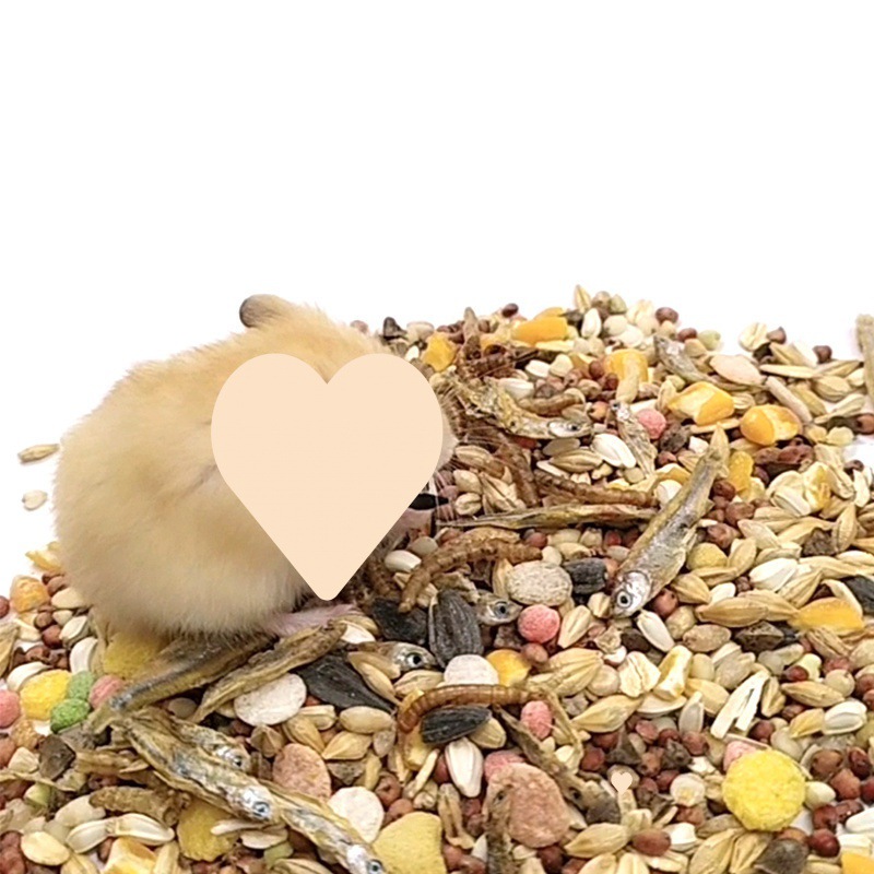 仓鼠粮批发粮食营养主粮罐装五谷海鲜混合金丝熊食物面包虫用品详情9