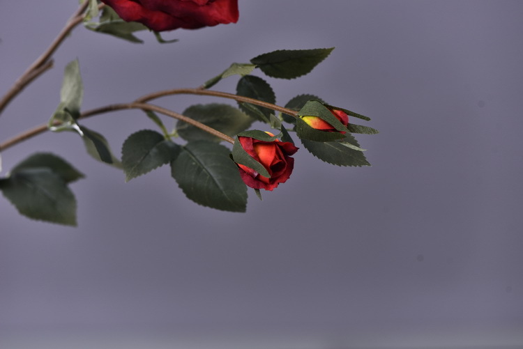 5 pieces of retro charred edge rose artificial flower decoration, artificial flower imitation dried flower, home soft decoration withered and dry, wedding Lanjin artificial rose wholesale pic 15