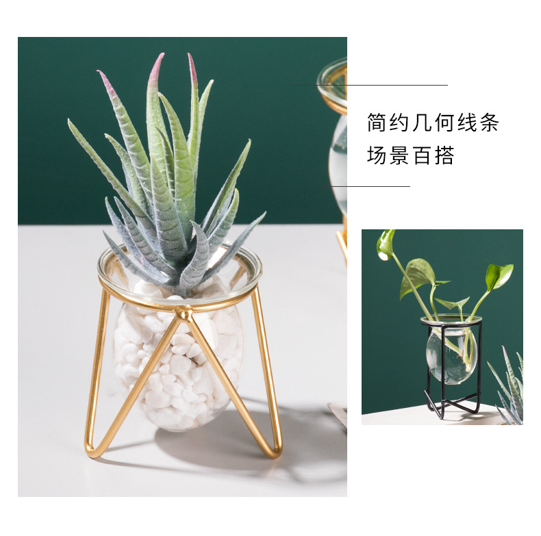 Nordic ins metal, ironwork, glass, hydroponic container, flower arrangement, creative home and office desktop flower arrangement pic 27