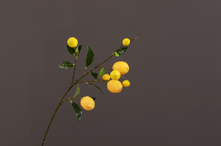2-5黄色柠檬.JPG