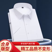 春秋长袖白色女式衬衫 女款商务正装职业装工作服衬衣修身v领上衣详情5