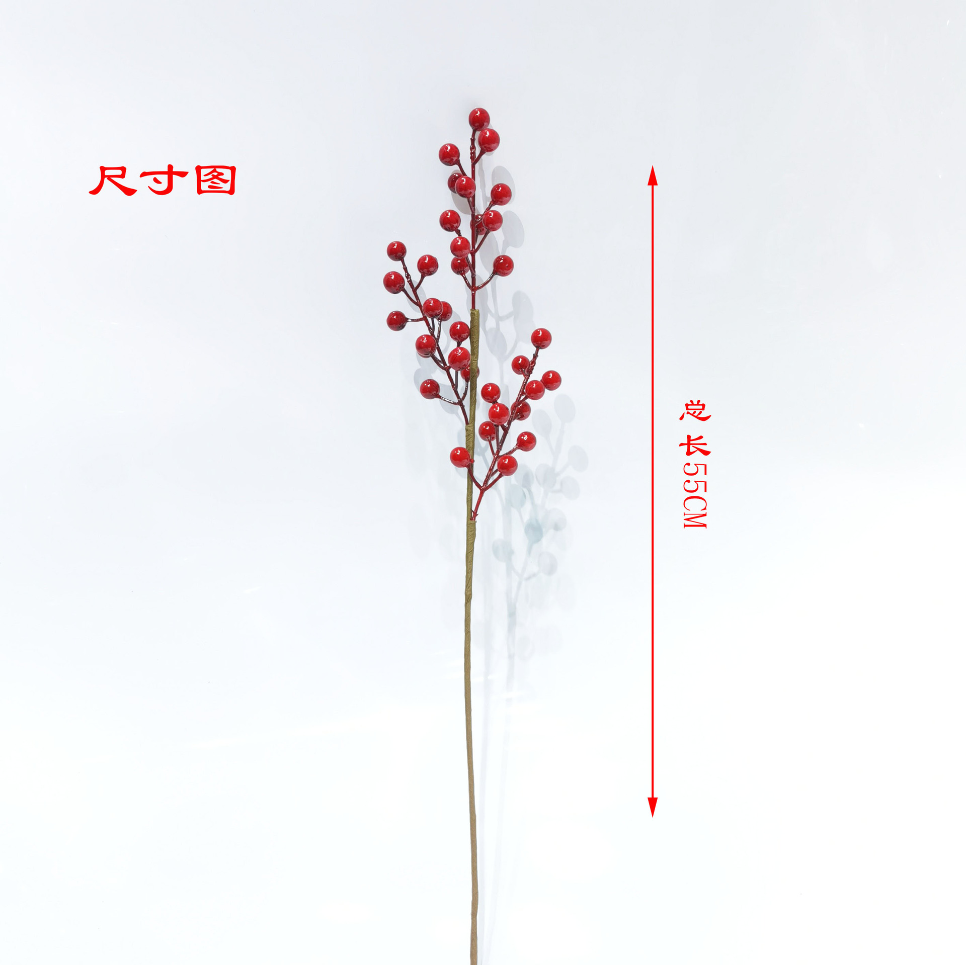 铁线三叉12果尺寸图