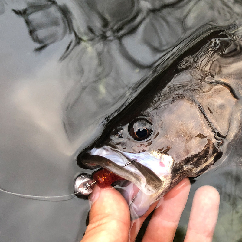 Free Ned Fishing Group, anti-hanging lead-head hook, perch, mandarin fish, floating soft bait, soft insect hook, micro-root hook, fat Golujah pic 5