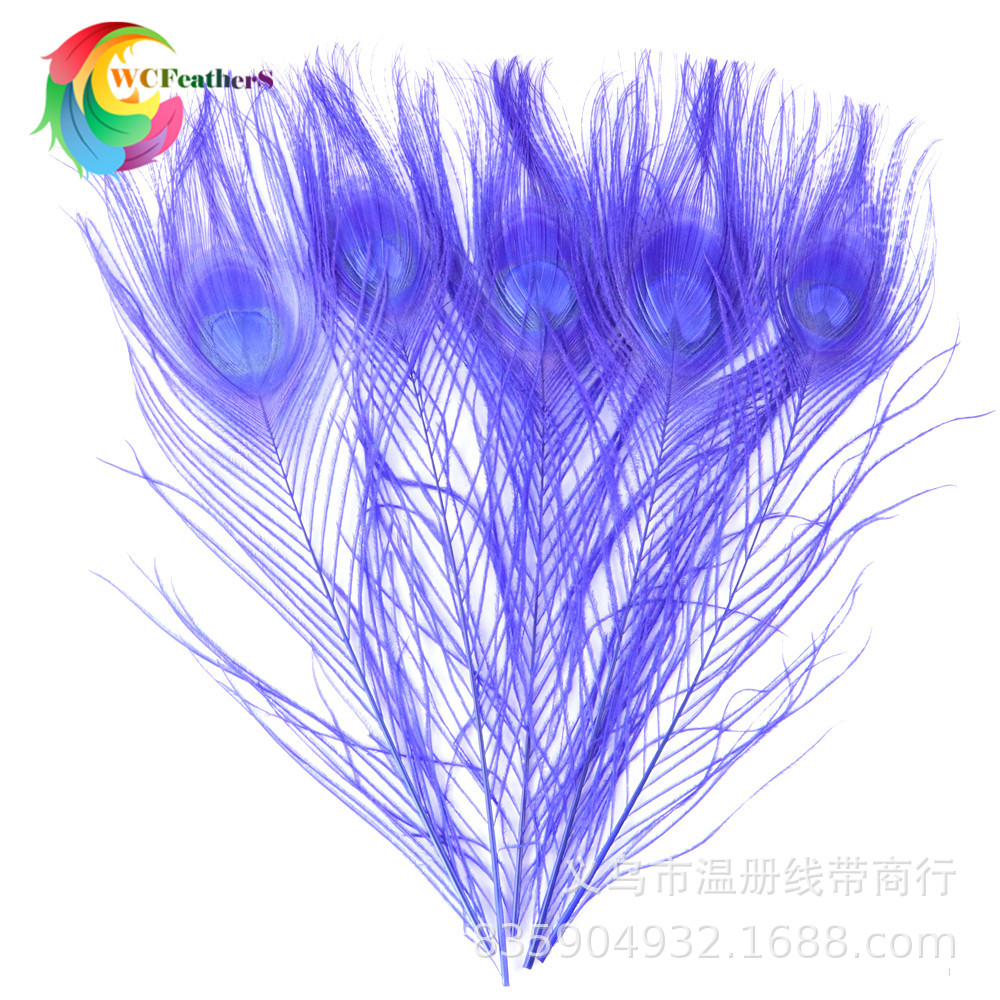 温册厂家直销天然孔雀羽毛DIY家居花瓶装饰婚庆道具新娘胸花材料详情11