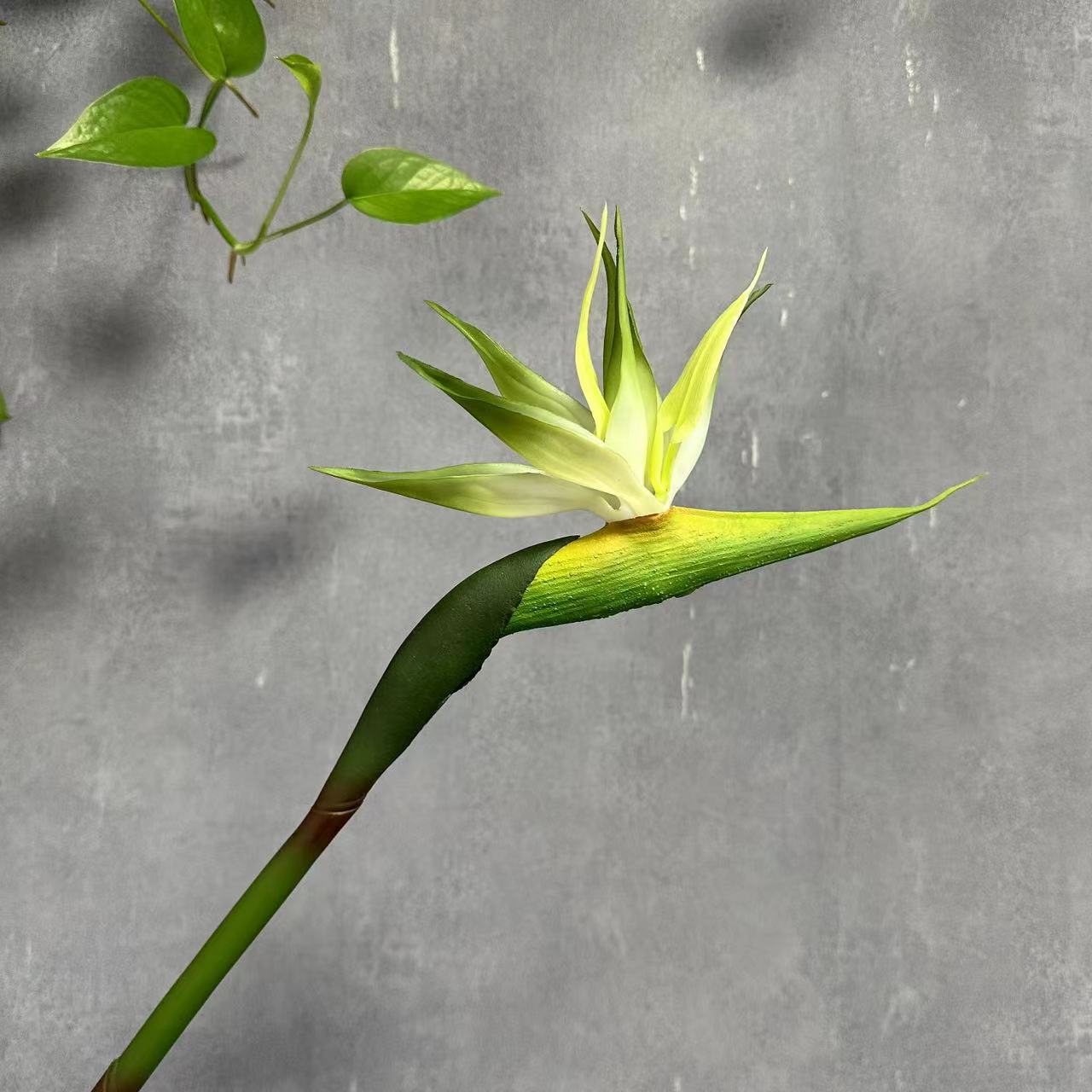 Soft rubber paradise Bird Crane Orchid New Chinese-style home model room decoration design, overseas wedding photography artificial flower pic 23