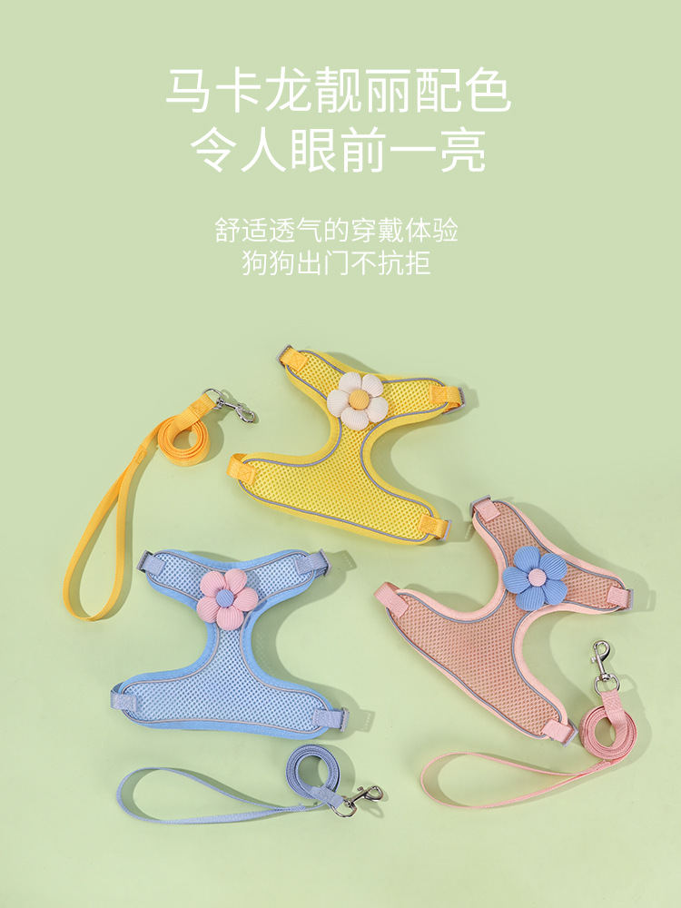 狗狗牵引绳背心式宠物胸背带透气网布花朵遛狗绳防挣脱猫绳子厂家详情3